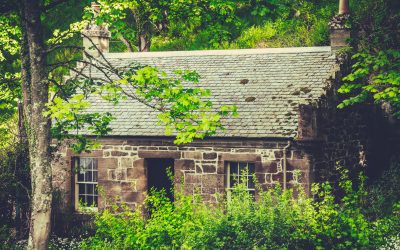 cottage-in-the-woods
