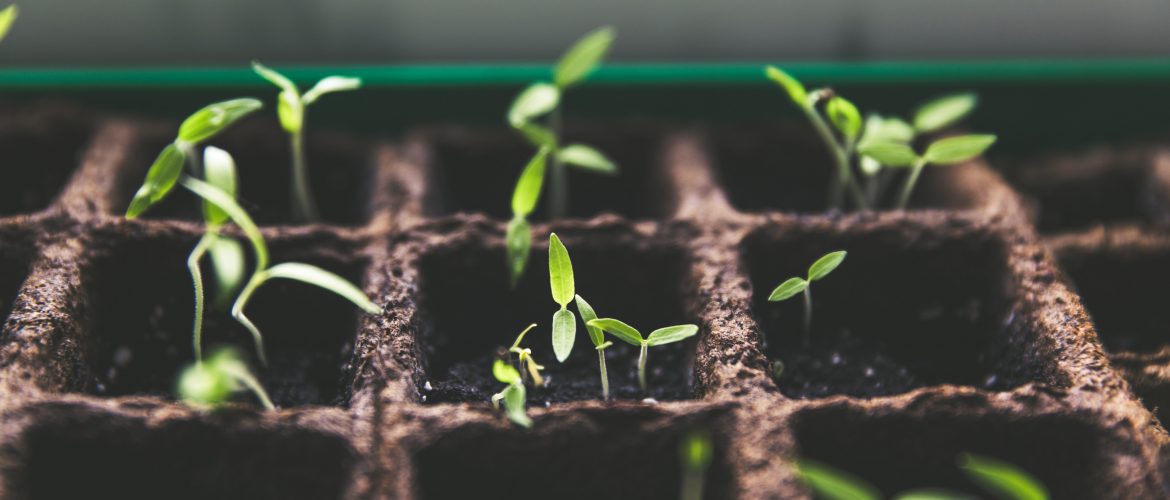 investment partnerships