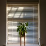 Why Custom Made Plantation Shutters Are the Perfect Fit for Your Home